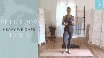 JT265-Full-Body-Heavy-Weights-10-x-3-high-min