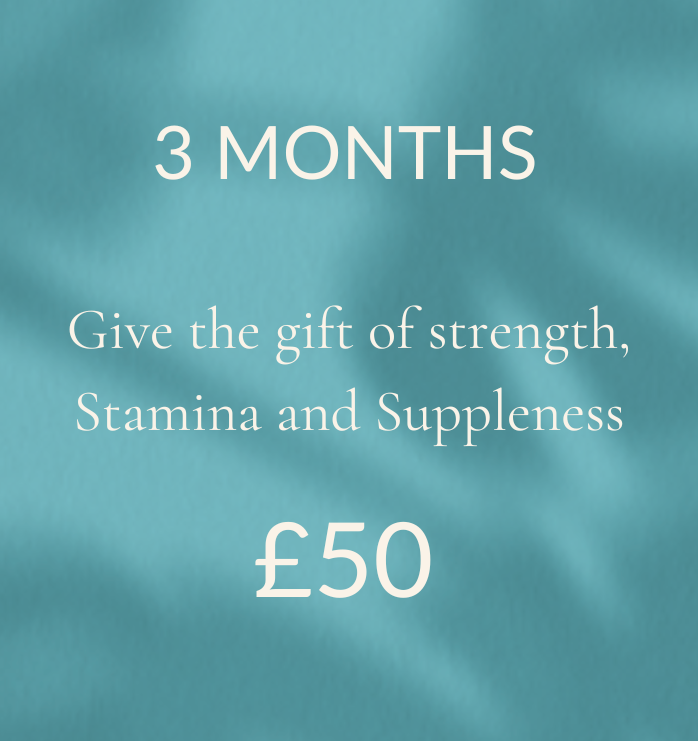 XMAS_GIFT-LANDING-3-MONTHS